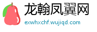 龙翰凤翼网